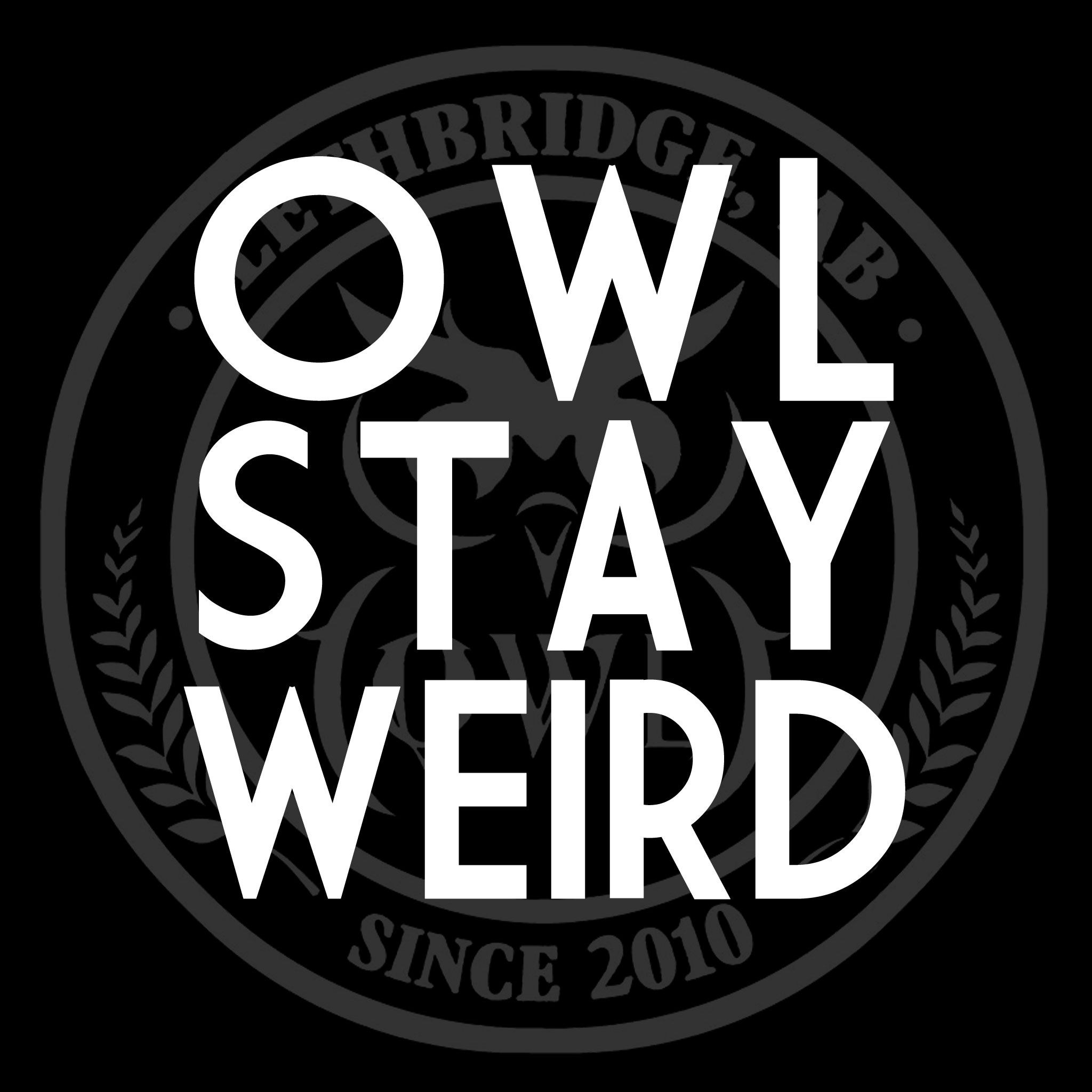 Owl Acoustic Lounge