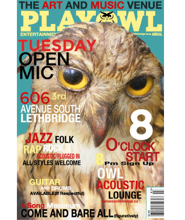 Owl Acoustic Lounge